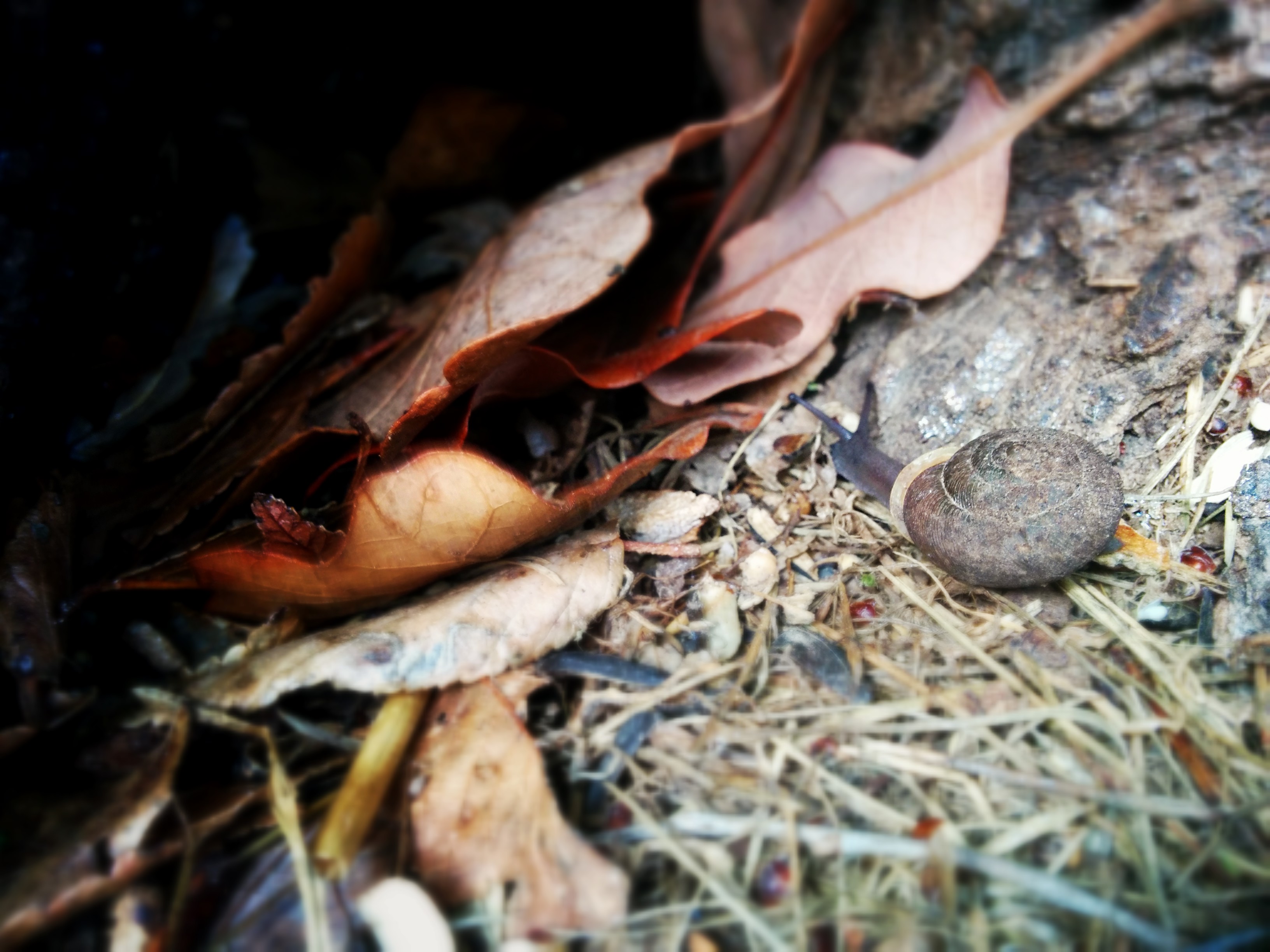 wpid-wp-1427989151177.jpg image